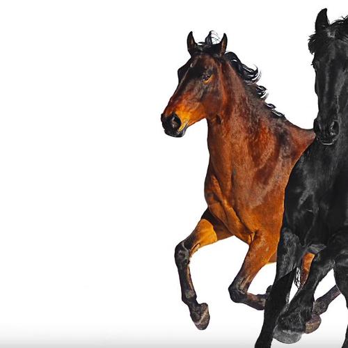 Download Music Lil Nas X Ft Young Thug Mason Ramsey Old Town