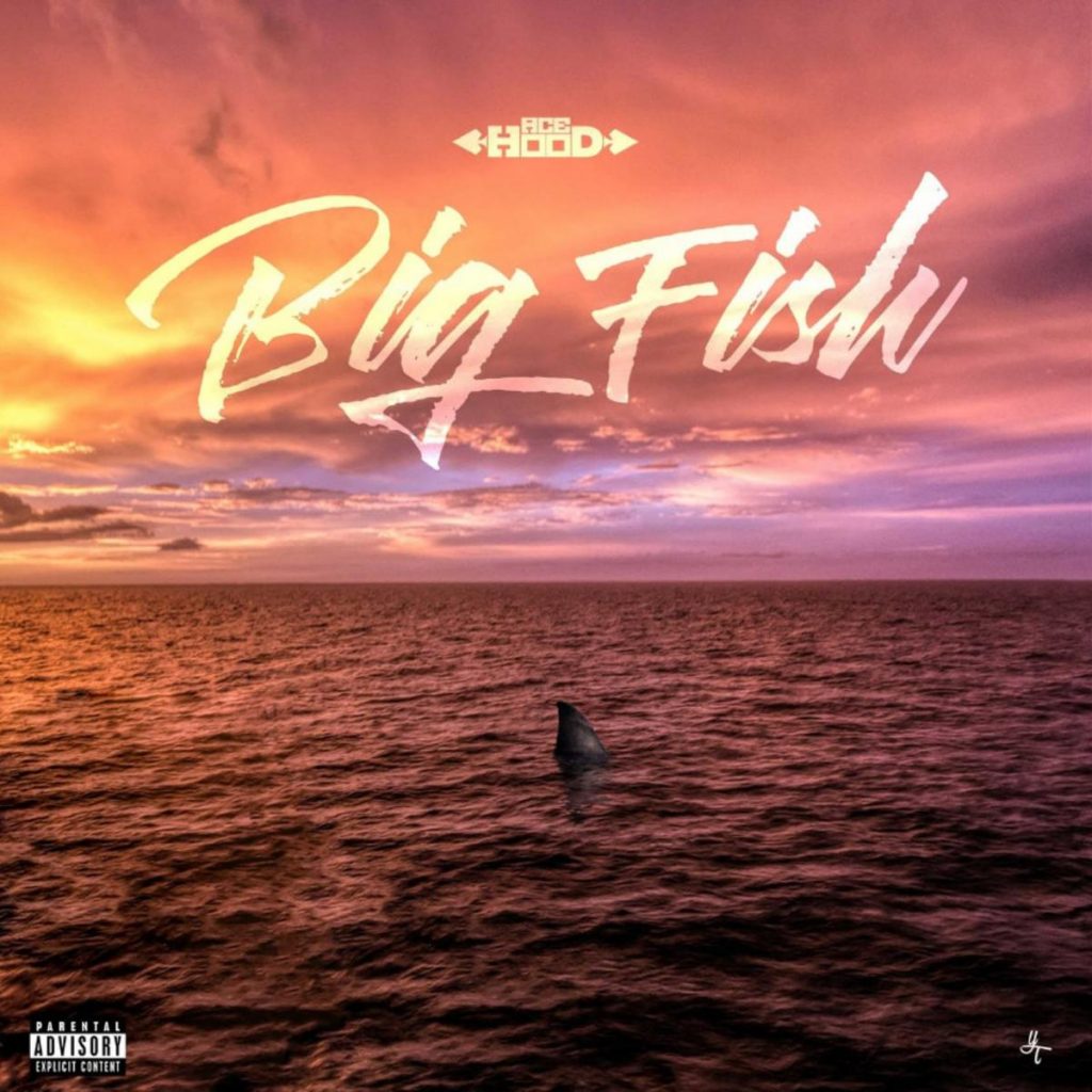 MP3: Ace Hood - Big Fish 