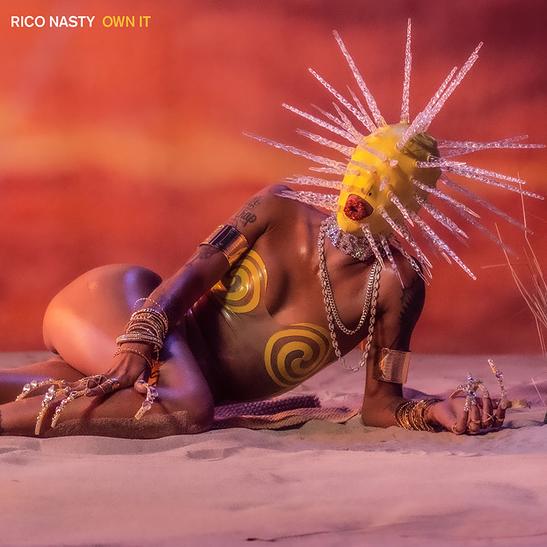 MP3: Rico Nasty - Own It