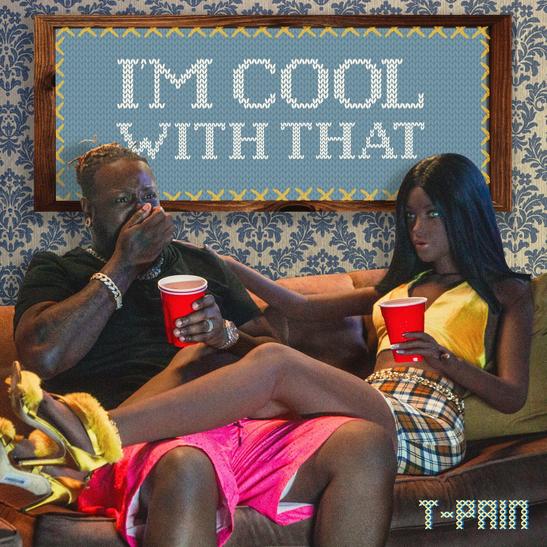 DOWNLOAD MP3: T-Pain - I'm Cool With That