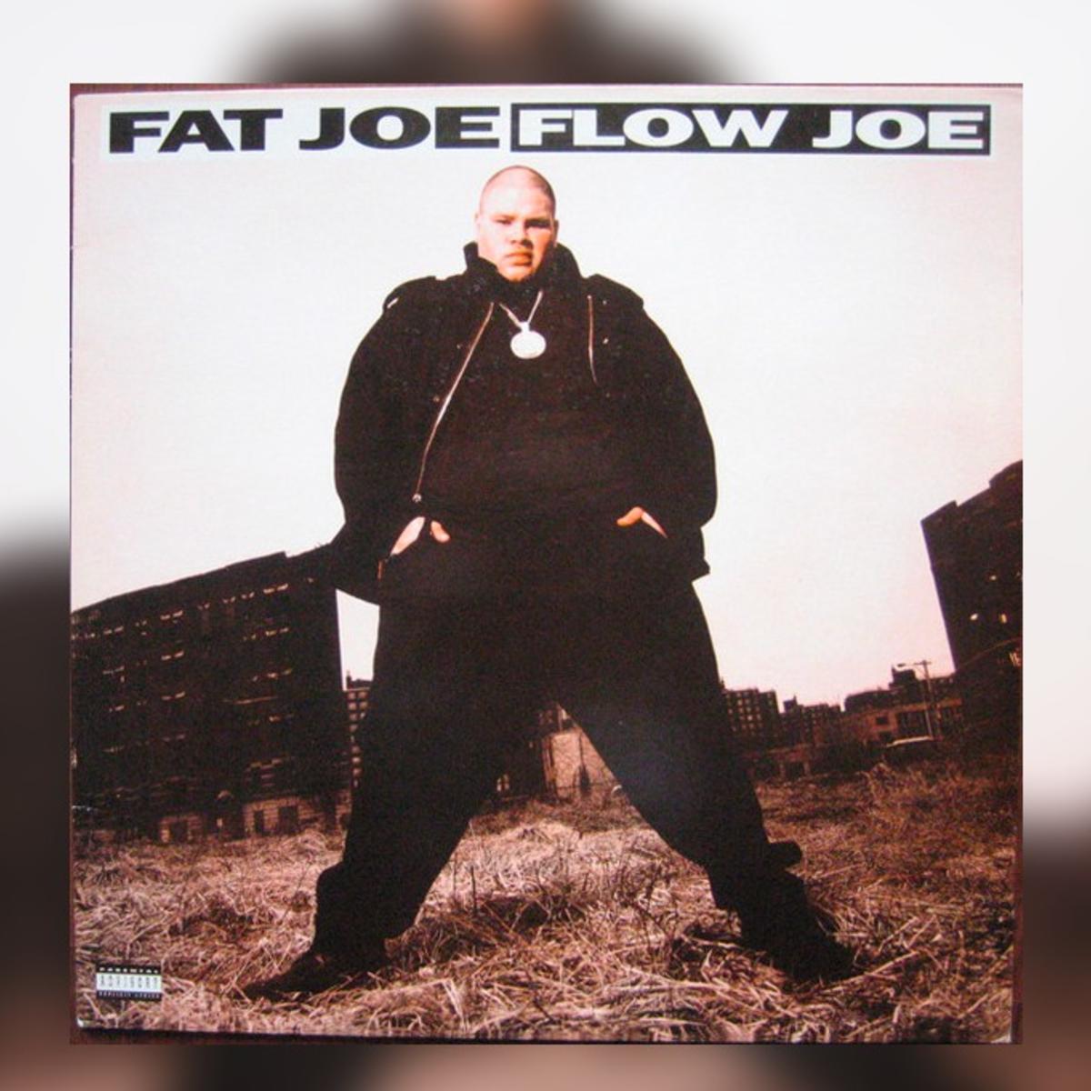 Fat Joe Flow Joe
