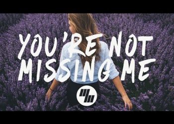 Chelsea Cutler – Youre Not Missing Me