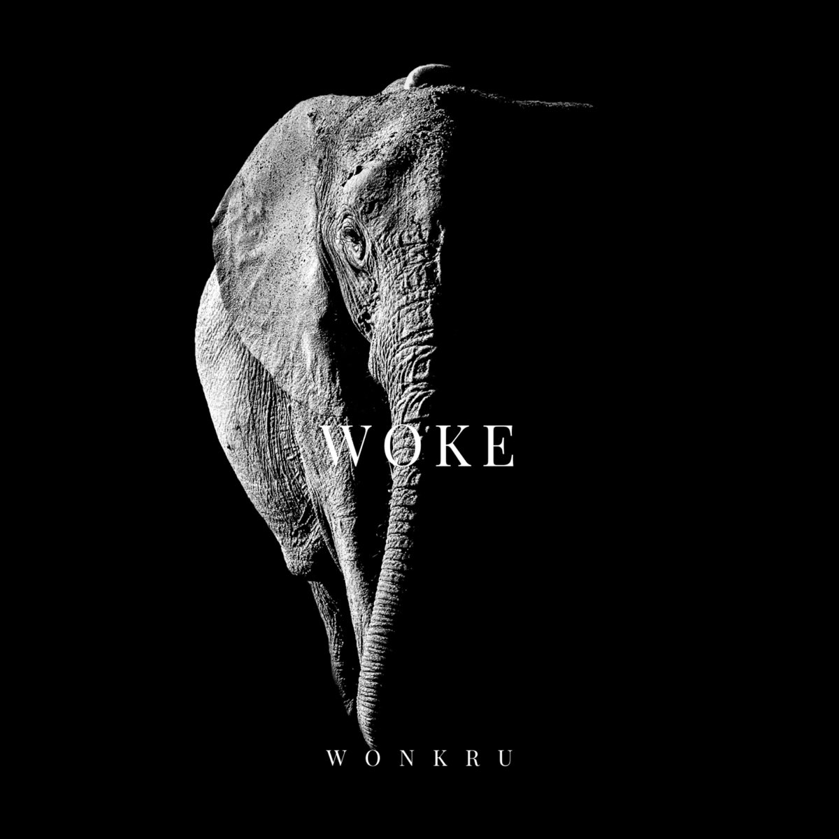 Wonkru – Woke