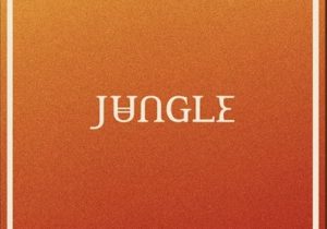 Jungle – I’ve Been In Love