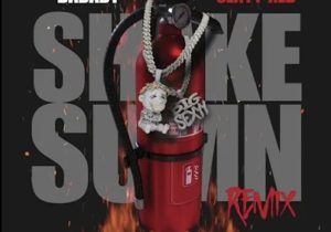 DaBaby & Sexyy Red – SHAKE SUMN (REMIX)