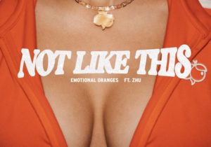 Emotional Oranges – Not Like This ft. ZHU