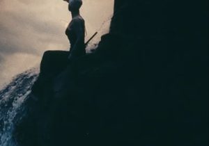 Silver Gore – 25 Meters