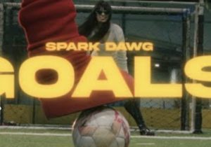 Spark Dawg – GOALS