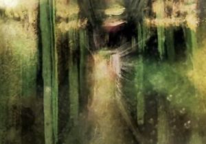 The Coral – The Sinner