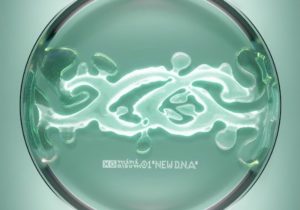 XG – NEW DANCE