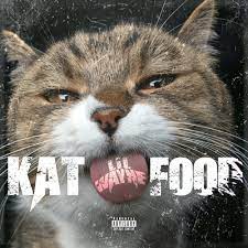 Lil Wayne - Kat Food