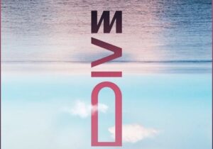 Lost Frequencies & Tom Gregory – Dive