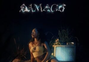 Sarina – Damage